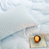 Light Blue Gingham