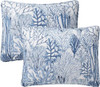 Gill Blue