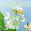 Jasmine-new