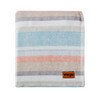 Glen Canyon Stripe Blue