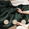 02 - Dark Green