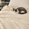 Cream White Striped