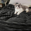 Black Striped