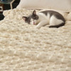 Cream White Cloud