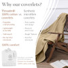 Aster Beige