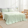 Light Mint Green/Cream