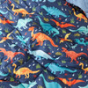 Dinosaur