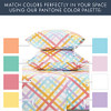 Rainbow Gingham