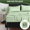 Mint Green Mint Green