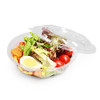 Restaurantware Thermo Tek 8 Ounce Disposable Salad Bowls