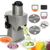 4 in 1 electric vegetable slicer is silver
