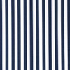 Blue Stripe