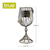 Wine Glass