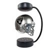 Las Vegas Raiders