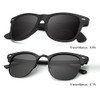 C04- (2 Pack) Matte Black / Matte Black Frame Black Lens