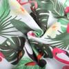 Flamingo Toucan