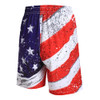 Usa Flag