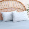 02 - Blue Striped