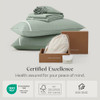 Sage Green Contrast