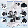 Binocular Microscope 02