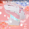 Sakura Pink & Charging Dock