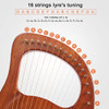 Mahogany Wood