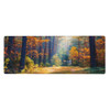 Autumn Forest Landscape Sunlight Morning