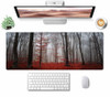 Autumn Forest