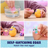 Hatchimals Alive Playset With Stroller