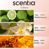 Scentia Cabana