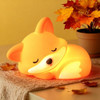 Sleep Fox