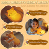 Sleep Fox