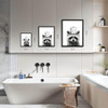 Raccoon Wall Art Raccoon Wall Art