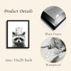 Raccoon Wall Art Raccoon Wall Art