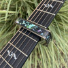 Hummingbird Black Chrome