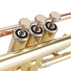 Phosphor Copper/Cupronickel/Brass