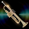 Phosphor copper/Brass