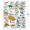 Dinosur Blanket