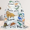 Dinosur Blanket