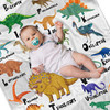 Dinosur Blanket