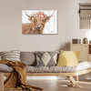 Highland cow-H