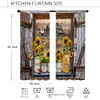 01 Barn Door Sunflower
