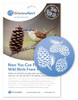 Pinecone