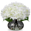 Hydrangea, White and Black