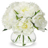 Peony, White
