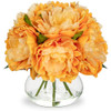 Peony, Orange
