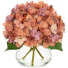 Hydrangea, Dark Peach
