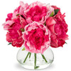 Peony, Hot Pink
