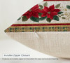 Christmas Poinsettia