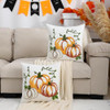Pumpkin 7